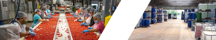 Potravinářský a chemický průmysl